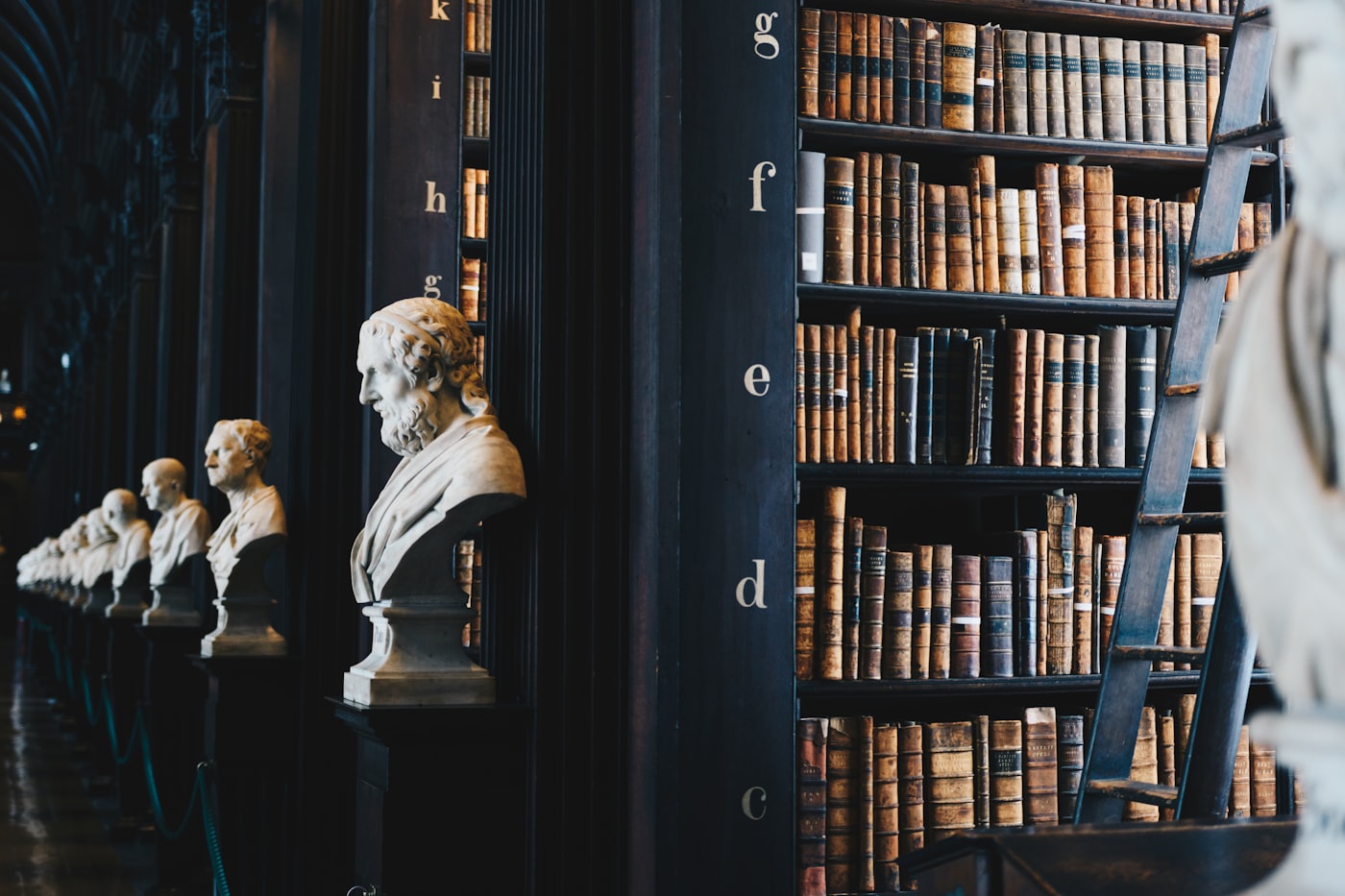 Classical law library with marble busts